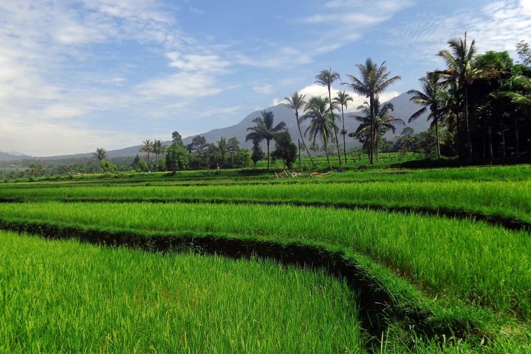 Landscape Tropics Agriculture